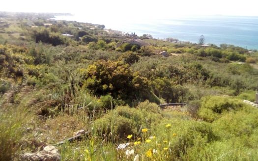 Land for sale in Aegina