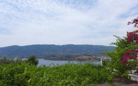 Unique house consisting of 2 independent apartments