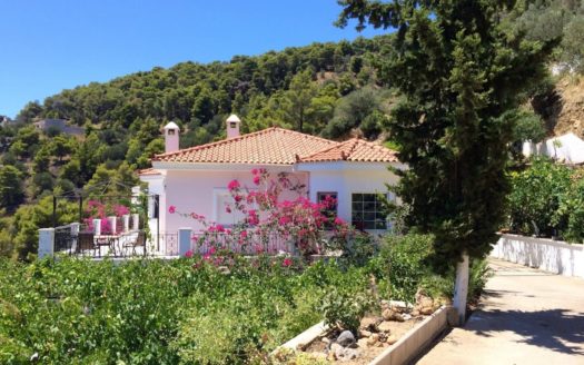 Unique house consisting of 2 independent apartments
