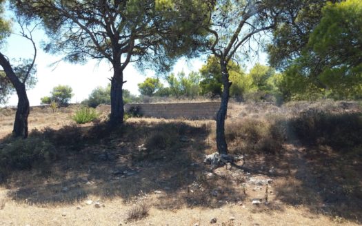 Land plot for sale in Aegina