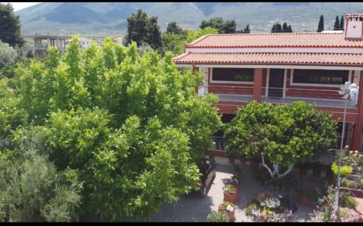 Detached House for sale – Anthidonos