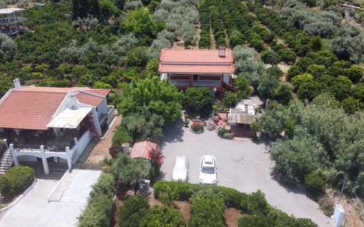 Detached House for sale – Anthidonos