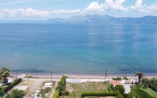 Detached House for sale – Anthidonos