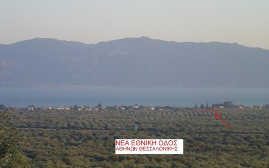 220429 – house in Exineon Fthiotida