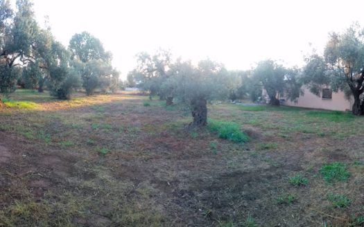 220429 – house in Exineon Fthiotida