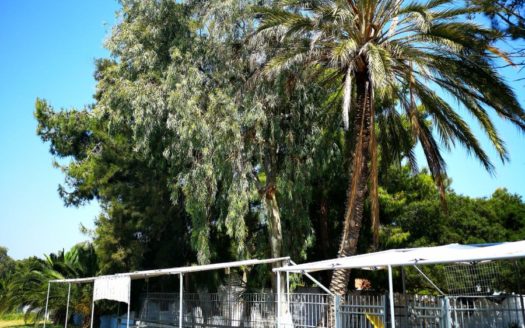 220486 – Beach front Apartment in Loutraki