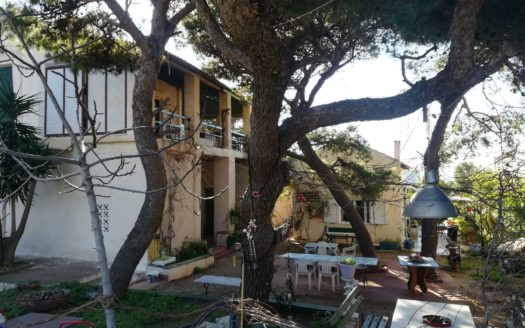 220392 – Beach front Villa in Sounio